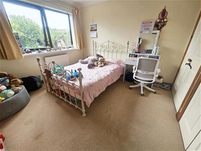 Picture 29